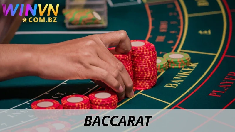 Baccarat Winvn - Đấu Trí Kịch Tính, Săn Thêm Lợi Nhuận