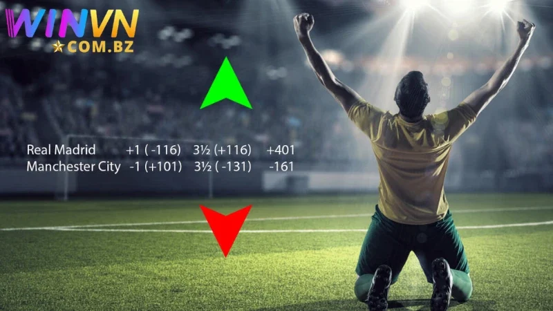 Winvn giải thích rõ về khái niệm kèo tài xỉu cho mọi người chơi