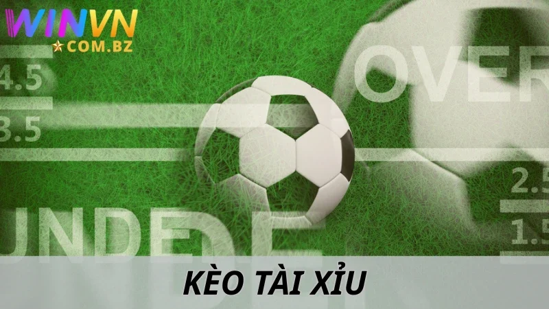 Kèo Tài Xỉu - Tổng Hợp Các Bí Quyết Thắng Đậm Từ Winvn