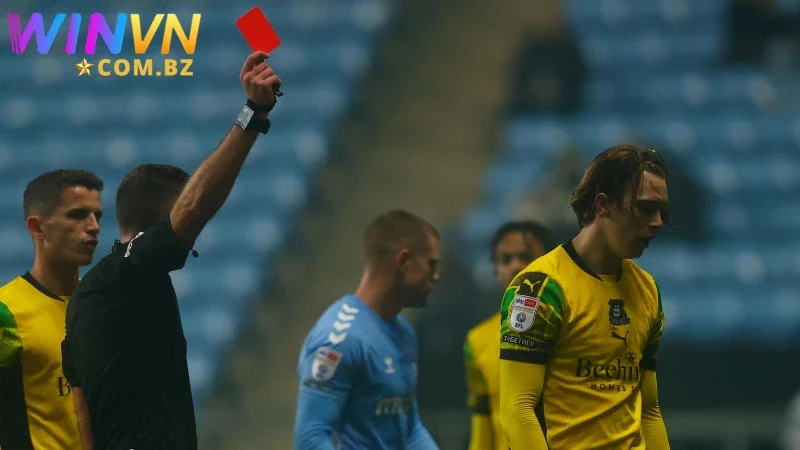 Làm rõ các hình thức đặt cược thể thao phổ biến