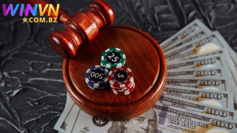 Chính sách miễn trừ trách nhiệm được Winvn triển khai rõ ràng Chính sách miễn trừ trách nhiệm được Winvn triển khai rõ ràng